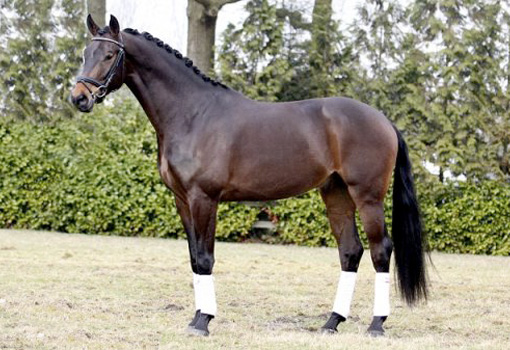 WesTrade Stables